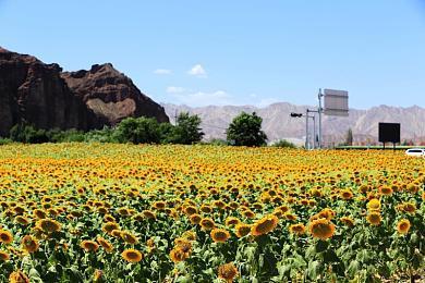 《正当防卫》开发商雪崩工作室创始人成立新工作室