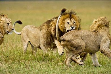 PSVR2在英国迎来价格大跳水 下个月将正式支持PC